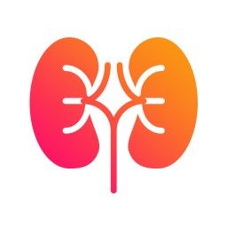 أمراض المسالك البولية